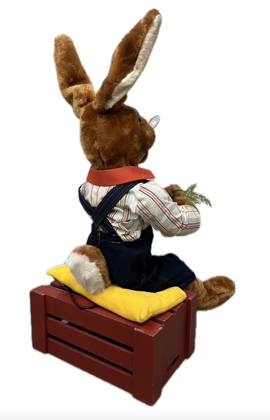 Rabbit sitting with carrot