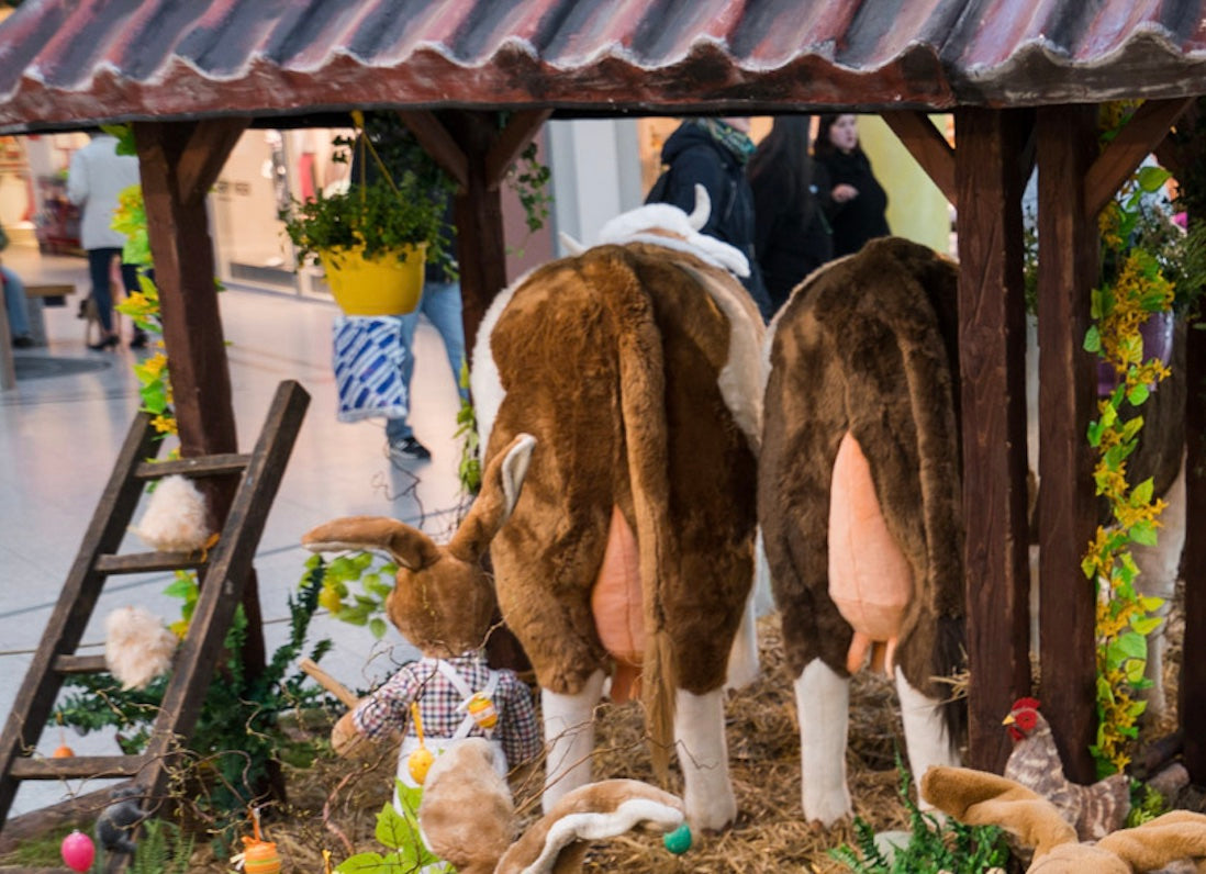 Easter on the farm - cowshed scene