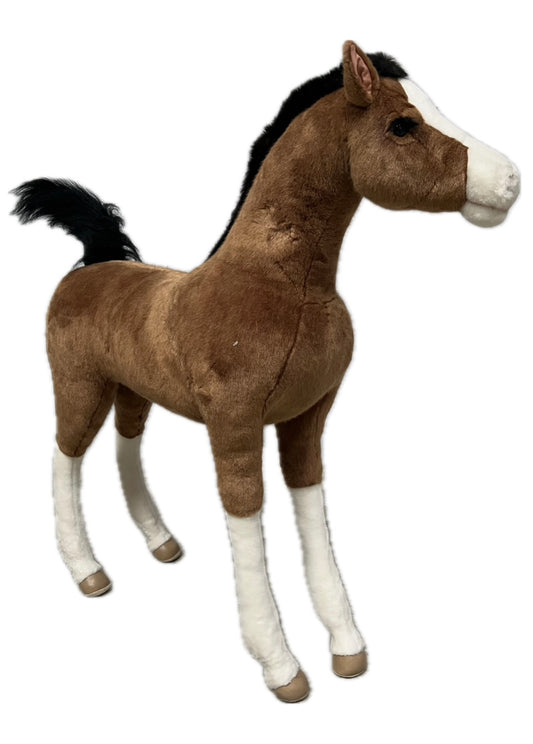 Fohlen