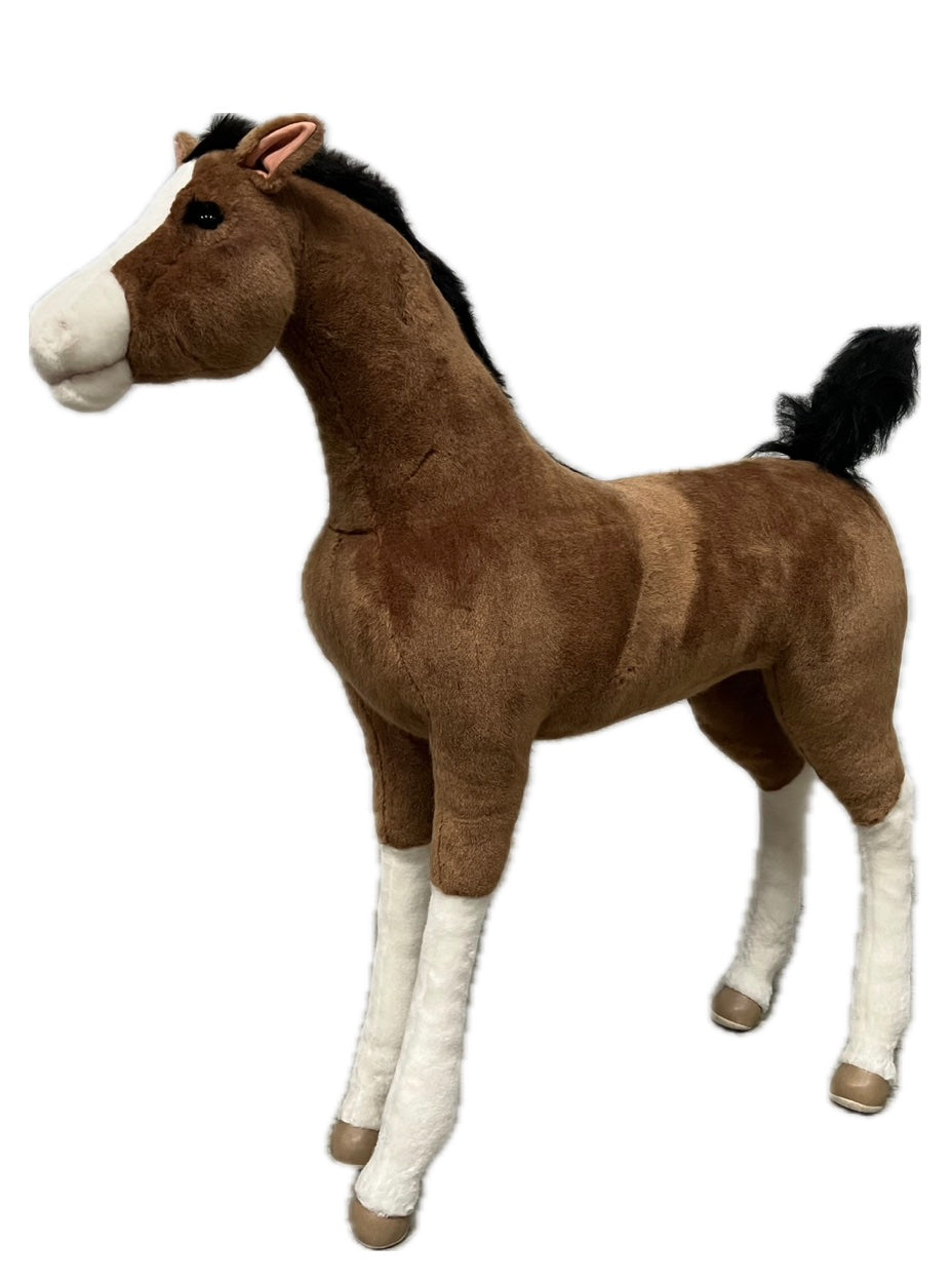 Fohlen