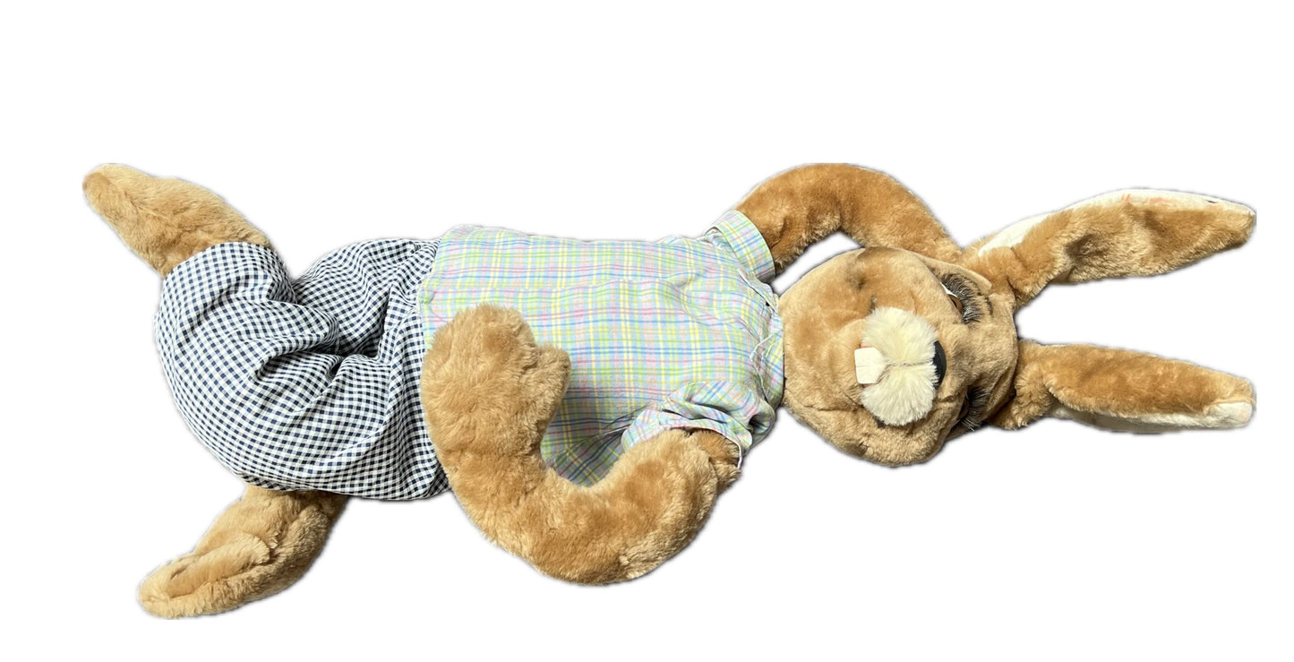 Rabbit lying motionless