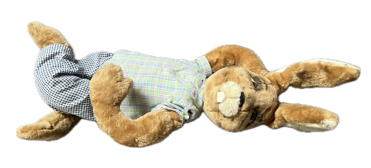 Rabbit lying motionless