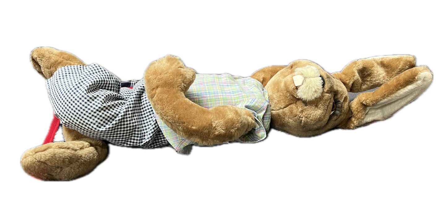 Rabbit lying motionless