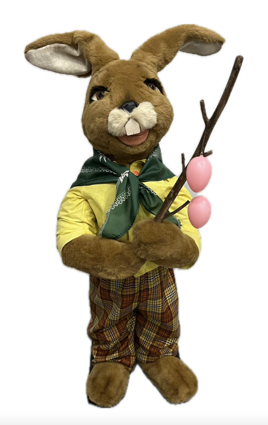 Bunny with sticks and eggs