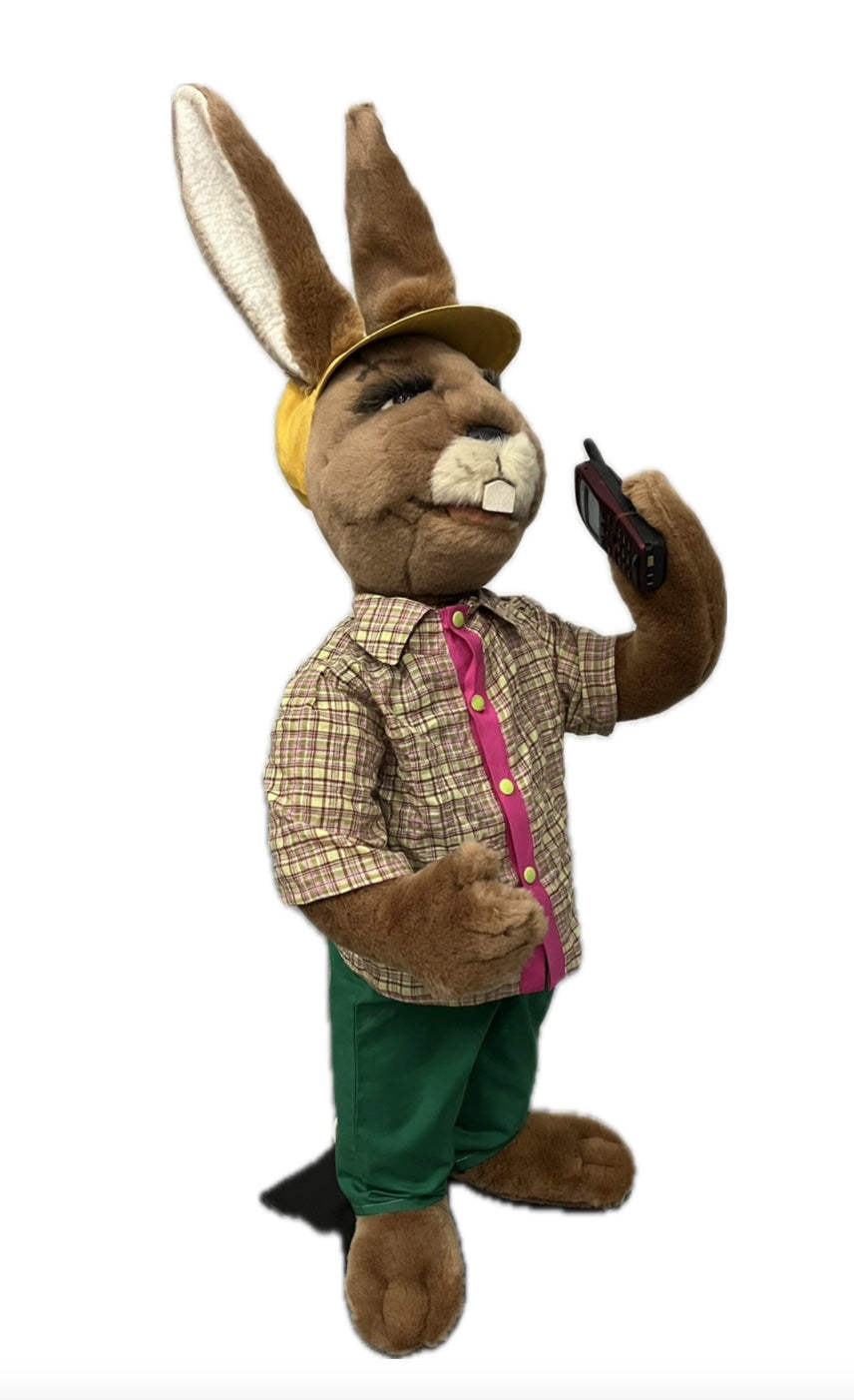Rabbit with cell phone