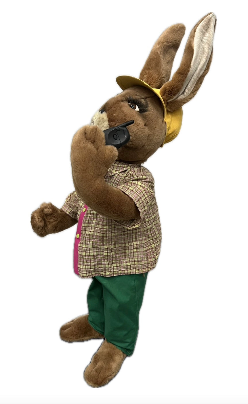 Rabbit with cell phone