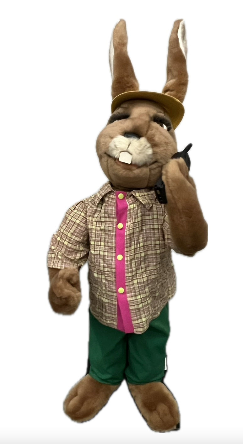 Rabbit with cell phone