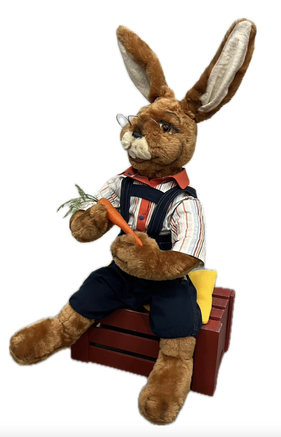 Rabbit sitting with carrot