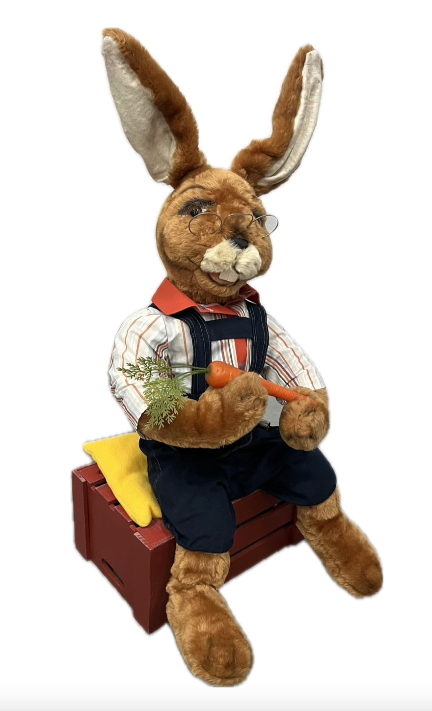 Rabbit sitting with carrot