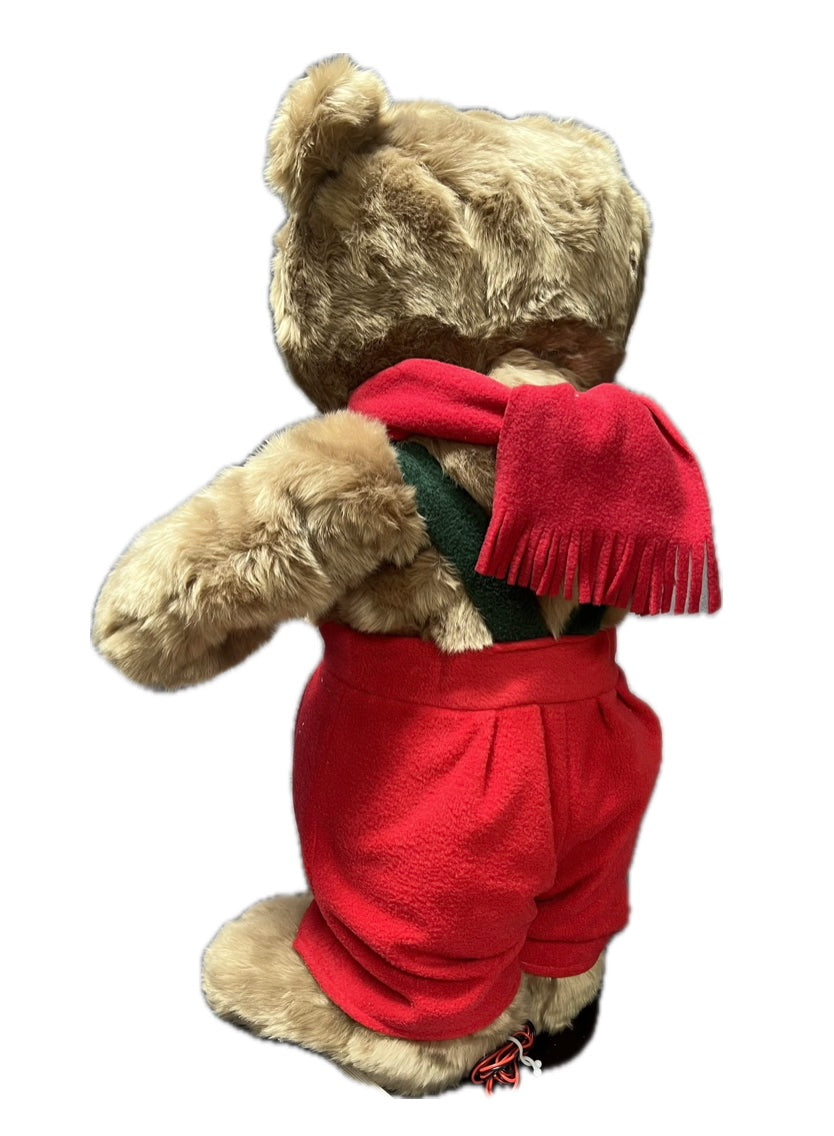 Teddy bear with recorder 